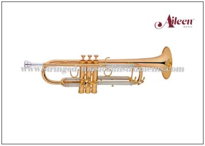 China S Muzikale Instrumenten Professionele TP8398G van het Stijl de Midden Modelmessing Te koop