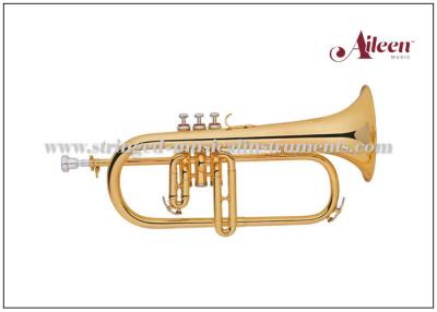 China Premium case Brass Musical Instruments / Stainless steel Flugel (FG8610G) for sale