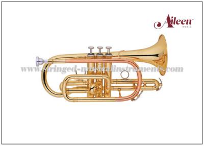 China Brass Musical Instruments , Y style Brass Lacquer Bb Key Stainless steel China Cornet (CN8711G) for sale