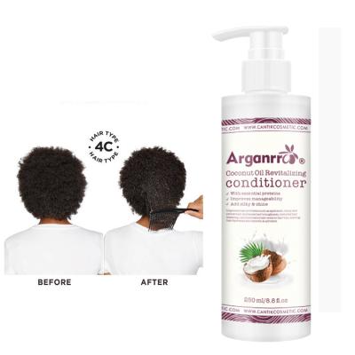 China ARGANRRO Nourishing Sulfate Free Shea Butter Cocont Oil Organic Leave in Conditioner for Keratin Treated Hair for sale