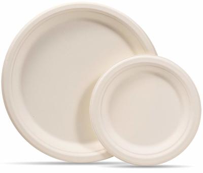 China China manufacturer High quality Eco-friendly Bagasse sugarcane plates for sale