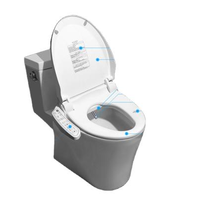 China Electronic bidets battery sprayer bidet_faucet set electronic toilet seat for people for sale