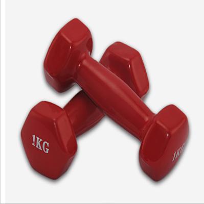 China Durable Hot Selling Colorful Dumbbells Fitness Workout Exercise Vinyl Gym Weights Lifitng Dumbbells for sale