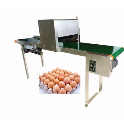 China Hotels High Efficiency Due Date Batch Code Egg Logo Printer for sale