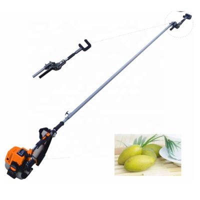 China 12V Electric Olive Harvester Gasoline Walnut Picking Machine With 2-3M Telescopic Pole for sale