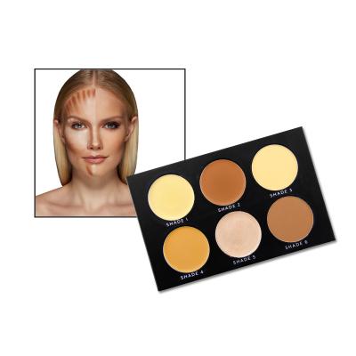 China Waterproof Makeup Cosmetics Contour Contour Kit Makeup Palette Face Contour Kit for sale