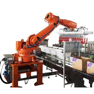 China Food Carton Machine Price Case Packer With Robotic Packaging Systems for sale