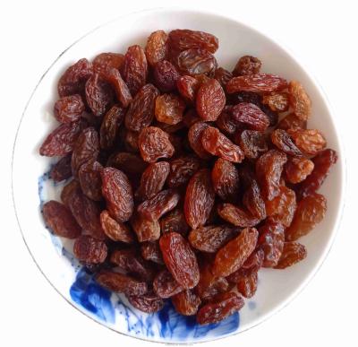 China Hot Sales Natural Snacks Delicious Raisins Red ELEPHANT for sale