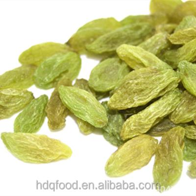 China Dry For Sale 100% Natural Green Raisins for sale