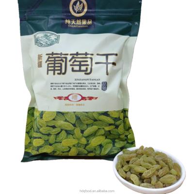 China Hot Quality Sultana Dried Green Raisins 500g/bag for sale