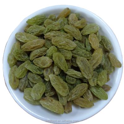 China New Culture Quality Sultana Dried Green Raisins 500g/bag for sale