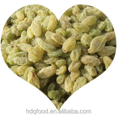 China China Original Dried Fruit Healthy Snacks High Quality Dried Medium Size Green Sultana Jumbo Raisins for sale