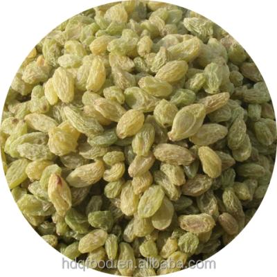 China New Culture China Green Dried Raisins for sale