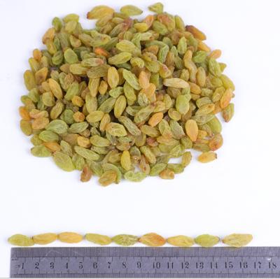 China Turpan Original Dried Fruit Size Green Sultana Dried Mixed High Quality Raisins for sale