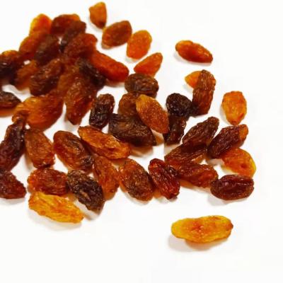 China Wholesale New Culture Dried Sweet Raisins Dry Sweet Raisins Red Raisins for sale