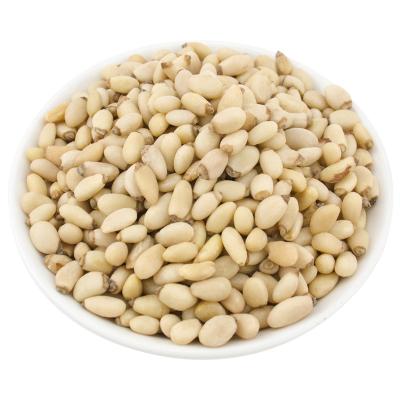 China Thinning Wholesale New Crop Organic Pine Nuts Vacuum High Quality Wild White Pine Nuts Leisure Snacks Bulk Whole Box for sale