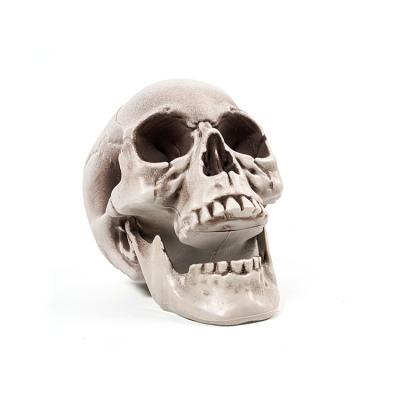 China Plastic Halloween Skull Ornament Plastic Cheap Price Simulation for sale