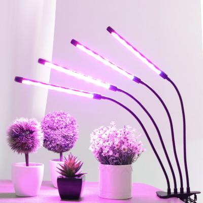 China Seed Seeding Plant 40w Low Voltage Grow Lamp Brighten and Promote Anti-popping Flowers and Plants Growing Light for sale