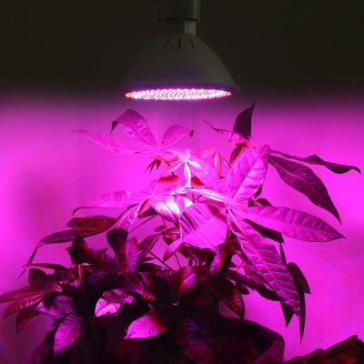 China Seed Starting Production High Quality Nursery Increase Garden Balcony Greenhouse Red Blue Led To Grow Light for sale