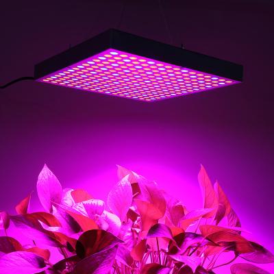 China Seed Starting Plant Direct Sales 225 Beads 45w Greenhouse Nursery Flowers Fleshy Supplement Light Led Plant Grow Light for sale