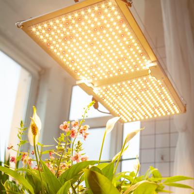 China Seed Starting Plant Custom Fill Light Led Spectrum Indoor Plants Smart Flowers Vegetables Fleshy Color Grow Light for sale