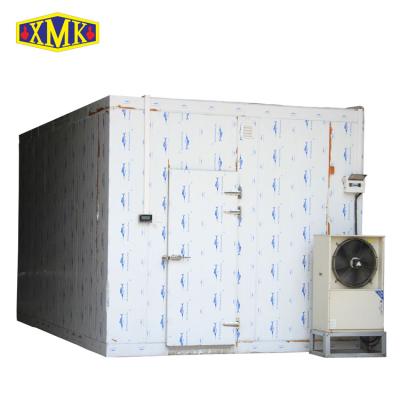 China Restaurant cold room panel machine, frozen cold room for meat and fish, freezer room unit for sale