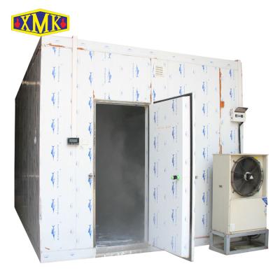 China Restaurant factory best quality cold room large capacity cold room, cold storage, walk in freezer room for sale