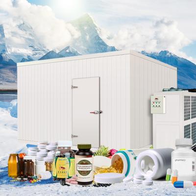 China Building Material Stores Coldroom Compressor Cold Storage Medicine for sale