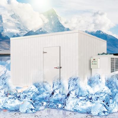 China Hotels Price Ice Storage Containers / Cheap Freezers / Cold Room For Ice Cube for sale