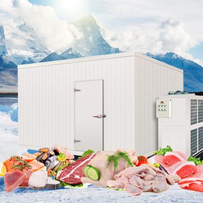 China Hotels Hot Sales Used Freezer Refrigerator Container Cold Room For Meat / Fish / Chicken for sale