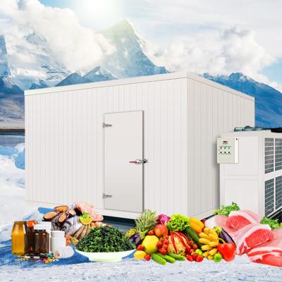 China Restaurant frozen cold room for meat and fish, cold room panel machine, 5000t tomato cold storage room for sale