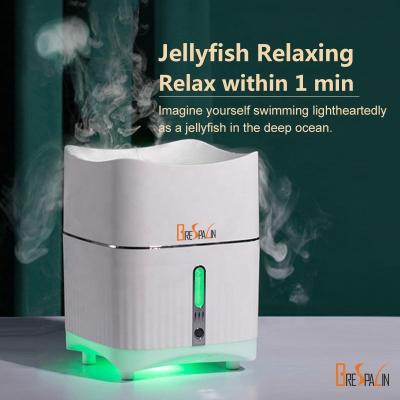 China Hotel New Design Quiet Humidifier for Pregnant Women Infant Relaxation for sale