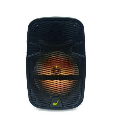 China No PA 8inch speaker maker wireless BT speaker with home system party talker disco light cart BT audio speaker for sale