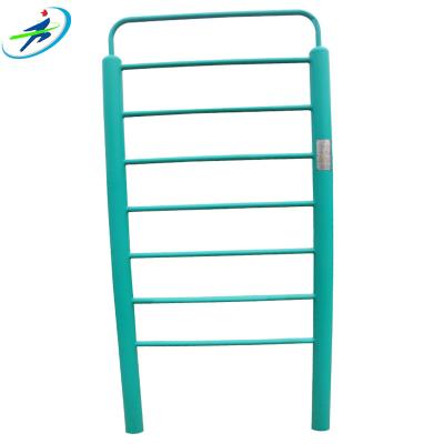 China Steel Bar Outdoor Exercise Monkey Fitness Equipment Wall Bars Vertical Climbing Gym Ladder For Wholesale for sale