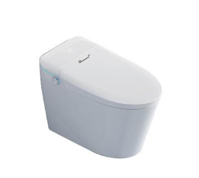 China High Quality Automatic Flush Cistern Luxury Flush Toilets Concealed Rimless Smart Toilet Cistern Wc With Speech Function for sale