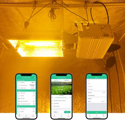 China Seed Starting UDWELLS Greenhouse Hydroponic Ballast 600W Double Finished HPS Grow Lamp For Indoor Plants for sale