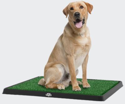 China Sustainable Hot Sale Amazon Grass Hot Sale Bathroom Mat For Puppies And Small Pets For Puppy Bases Indoor And Outdoor Use for sale