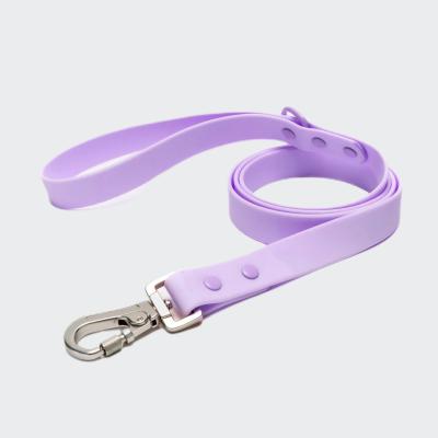 China Personalized Waterproof Dog Lead PVC Coated Webbing Dog Leash For Walking for sale