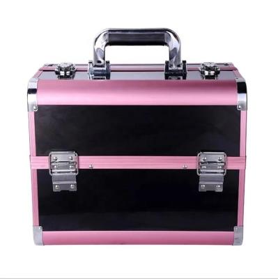 China Large Capacity Aluminum Travel Organizer Makeup Artist Train Cosmetic Case with Expandable 2 4 6 Tier Trays for sale