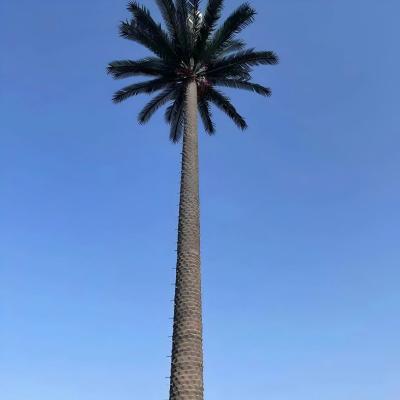 China 10 20 30 40 50 60 70 80 M Hot Dipped Galvanized Camouflaged Pole Palm / Pine Micro Fake Cell Tower Trees 10 20 30 40 50 60 70 80 M for sale