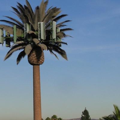 China Microwave Mobile Telecom Monopole Fake Palm Tree Cell Tower Camouflaged Date Communication Tower for sale