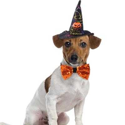 China Viable 2021 Pet Halloween Costume Hat Neck Set Pumpkin Pattern Dog Cape Pet Hat Scarf Set for sale