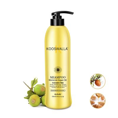 China Pure Natural Organic Growth Regenerating Argan Oil Shampoo Conditioner Private Label 100% Moisturizing Hair Set for sale