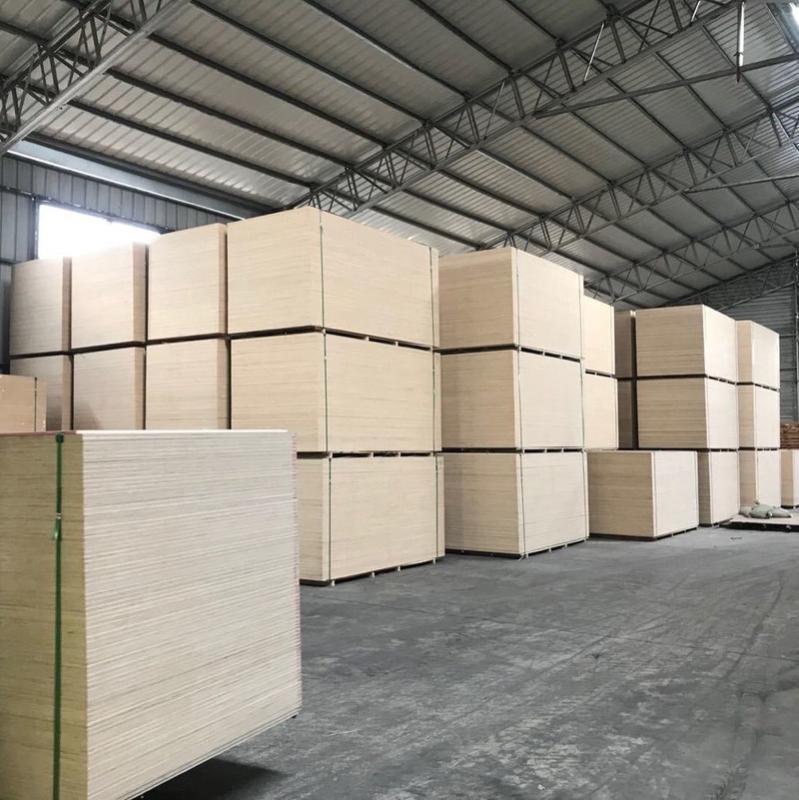 Verified China supplier - Linyi Senjia Wood Co., Ltd.