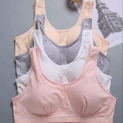 China Color Antibacterial Pure Vest Girls Top Bra No Rim Gathered Plus Size Bra Sponge Can Unpick And Wash for sale