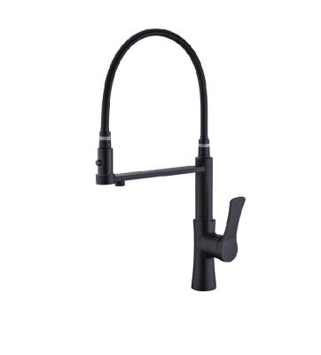 China 2021 modern new single-handle outdoor kitchen faucetkitchen faucet to pull out kitchen sink faucet for sale