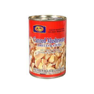 China China Canned Wholesale Factory Canned Food Mushrooms for sale