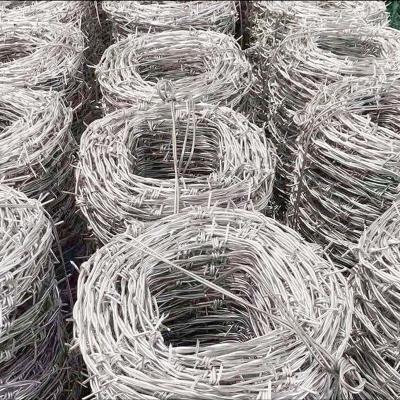 China Spine Hot Dip Iron Wire Blade Rope Piercing Rope Galvanized Steel Wire Barbed Rope for sale