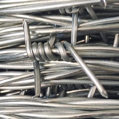 China Barbed Wire Barbed Thorn Rope Manufacturer Prison Barbed Wire for sale