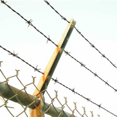 China Anti-climbing Iron Wire Iron Thorn Barbed Wire Hot Dip Galvanized Barbed Wire Net for sale